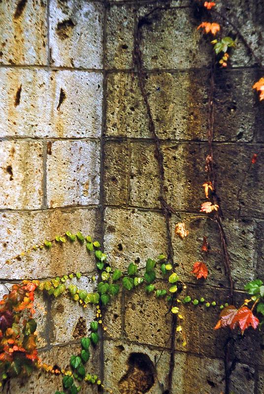 1952-53 Japan 212 Nikko.jpg